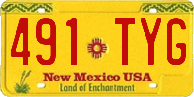 NM license plate 491TYG