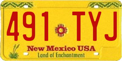 NM license plate 491TYJ