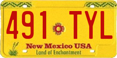 NM license plate 491TYL