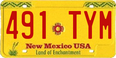 NM license plate 491TYM