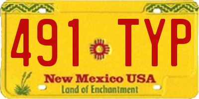 NM license plate 491TYP