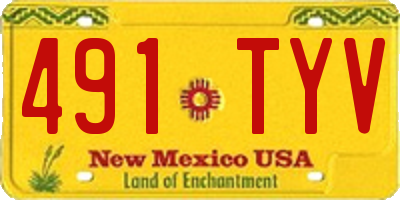 NM license plate 491TYV