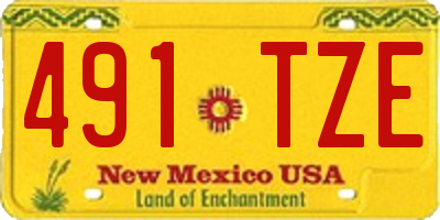 NM license plate 491TZE