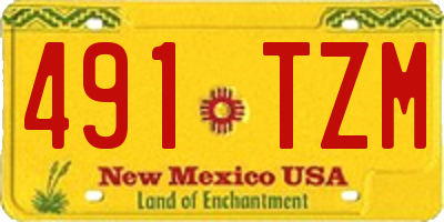 NM license plate 491TZM