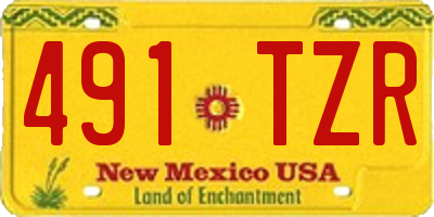 NM license plate 491TZR