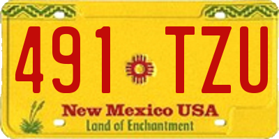 NM license plate 491TZU