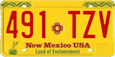 NM license plate 491TZV