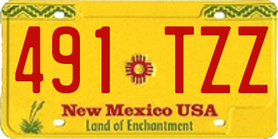 NM license plate 491TZZ