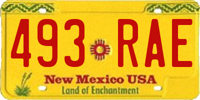 NM license plate 493RAE
