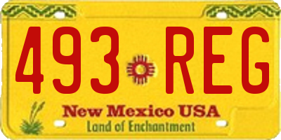 NM license plate 493REG