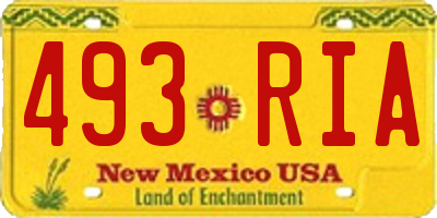 NM license plate 493RIA