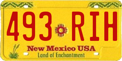 NM license plate 493RIH