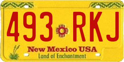 NM license plate 493RKJ