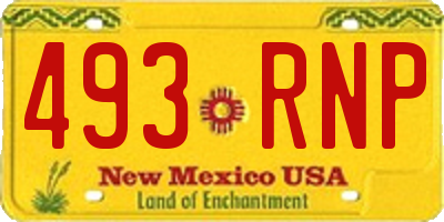 NM license plate 493RNP