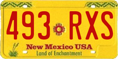 NM license plate 493RXS
