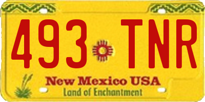 NM license plate 493TNR