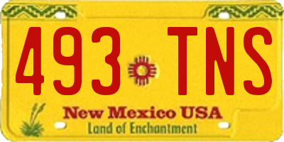 NM license plate 493TNS