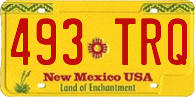 NM license plate 493TRQ