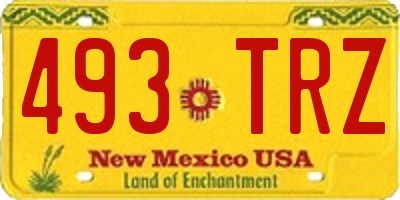 NM license plate 493TRZ