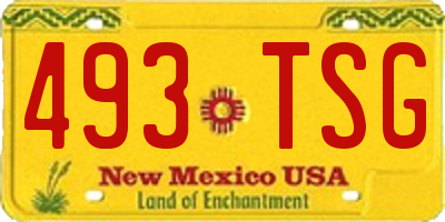 NM license plate 493TSG