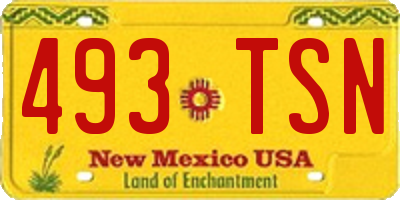 NM license plate 493TSN