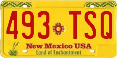 NM license plate 493TSQ
