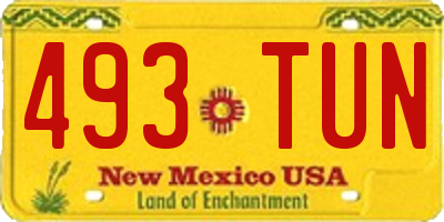 NM license plate 493TUN