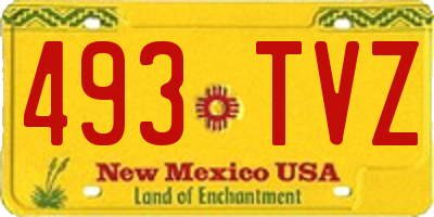 NM license plate 493TVZ