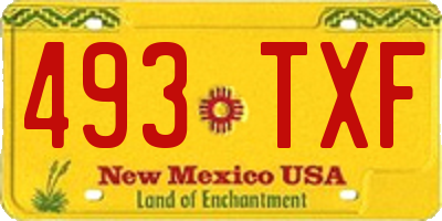 NM license plate 493TXF