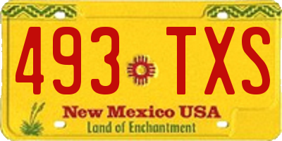 NM license plate 493TXS
