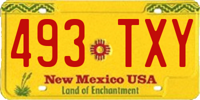 NM license plate 493TXY