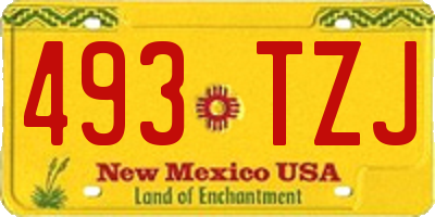 NM license plate 493TZJ