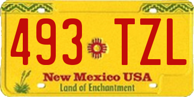 NM license plate 493TZL