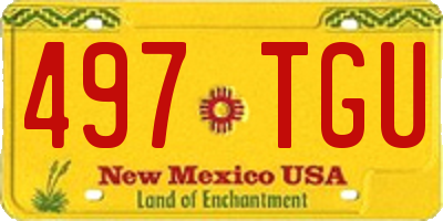 NM license plate 497TGU
