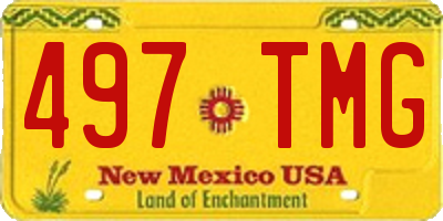 NM license plate 497TMG