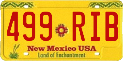 NM license plate 499RIB