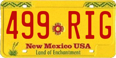 NM license plate 499RIG