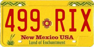 NM license plate 499RIX