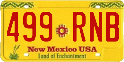 NM license plate 499RNB