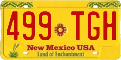 NM license plate 499TGH