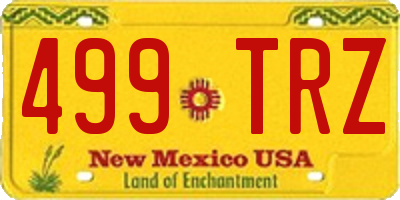 NM license plate 499TRZ