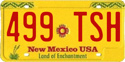 NM license plate 499TSH