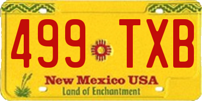 NM license plate 499TXB