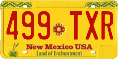 NM license plate 499TXR