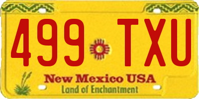 NM license plate 499TXU