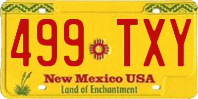 NM license plate 499TXY