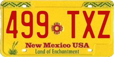 NM license plate 499TXZ