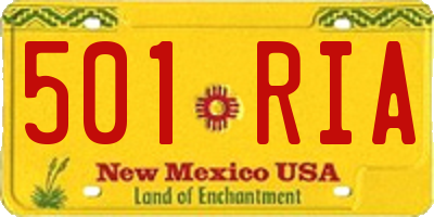 NM license plate 501RIA