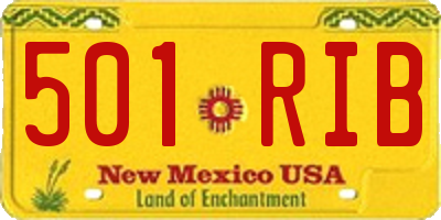 NM license plate 501RIB