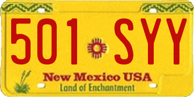 NM license plate 501SYY